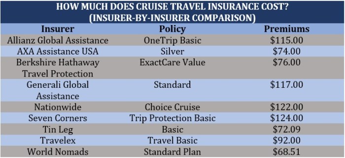 Cruise travel insurance in the US: A Guide | Insurance Business America
