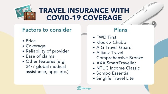 Best Travel Insurance in Singapore with Covid-19 Coverage - Homage