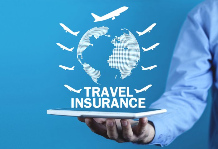 The Essential Tips for Choosing the Best Travel Insurance for Your Next ...