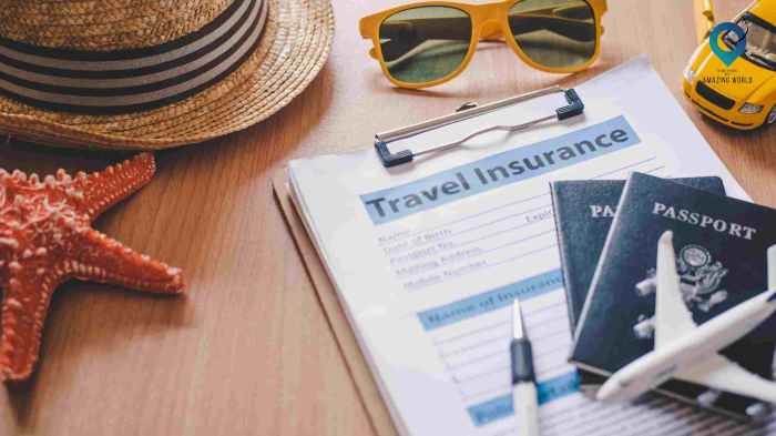 Here's How To Compare Travel Insurance Online?