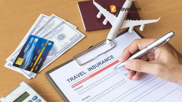 Domestic Travel Insurance for Australian Holidays | SCTI AU