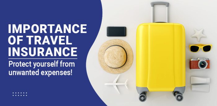 The Essential Tips for Choosing the Best Travel Insurance for Your Next ...
