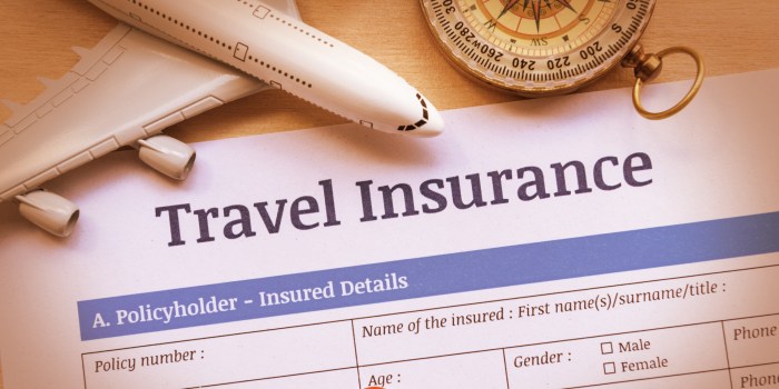 The Basics of Travel Insurance - TravelAlerts