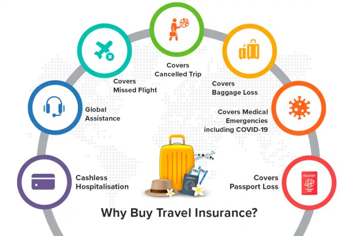Travel Medical Insurance Coverage and Restriction Basics | LoveToKnow